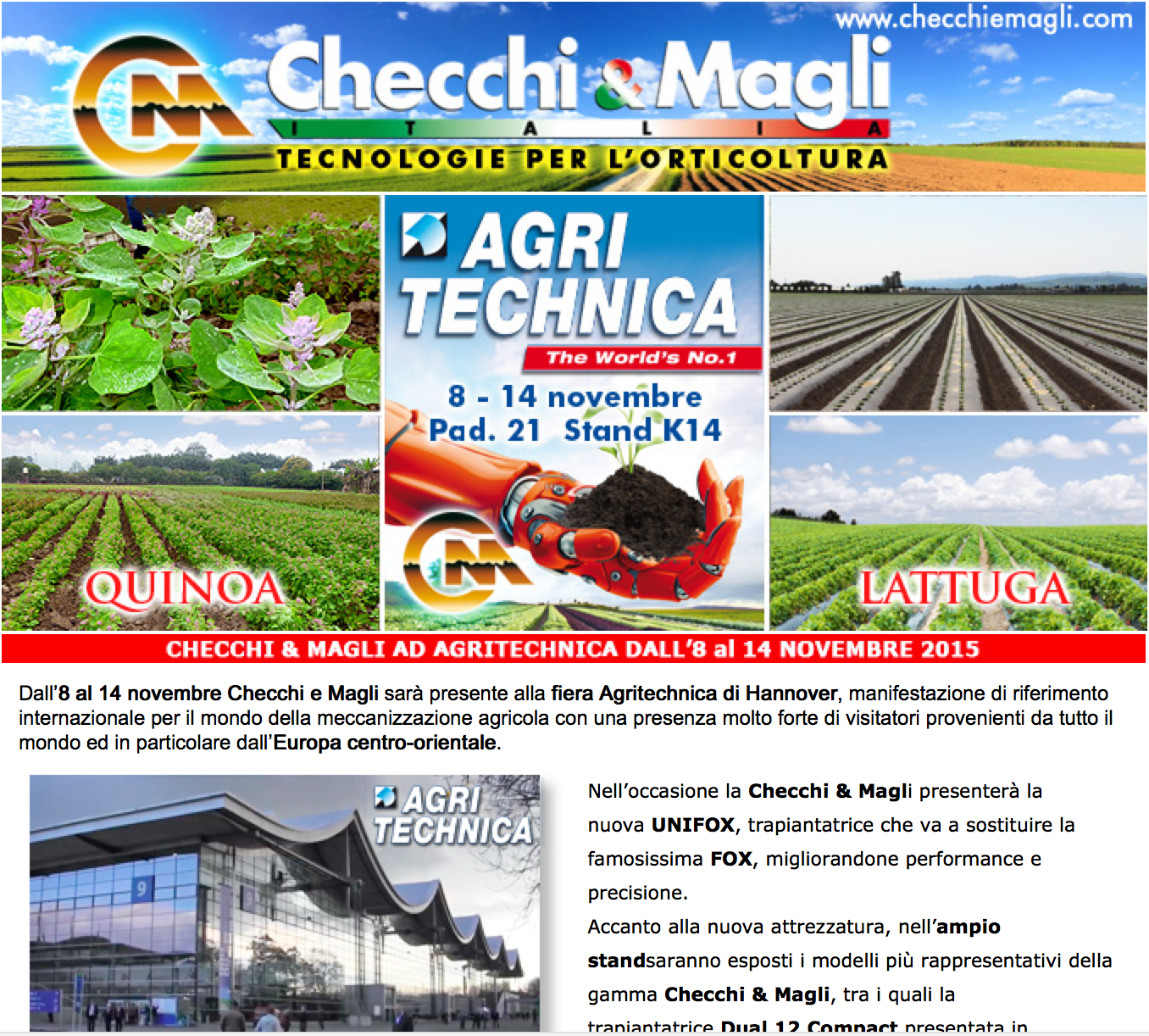 Screenshot Newsletter Cecchi e Magli